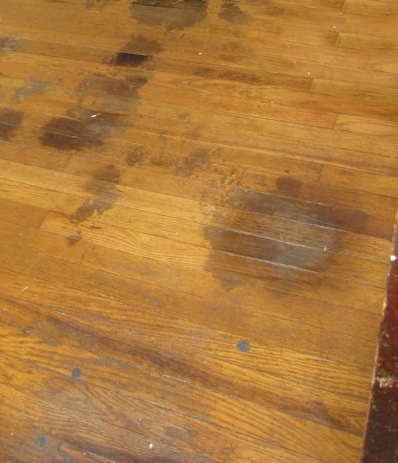 Wood Floor Stain Wood Floor